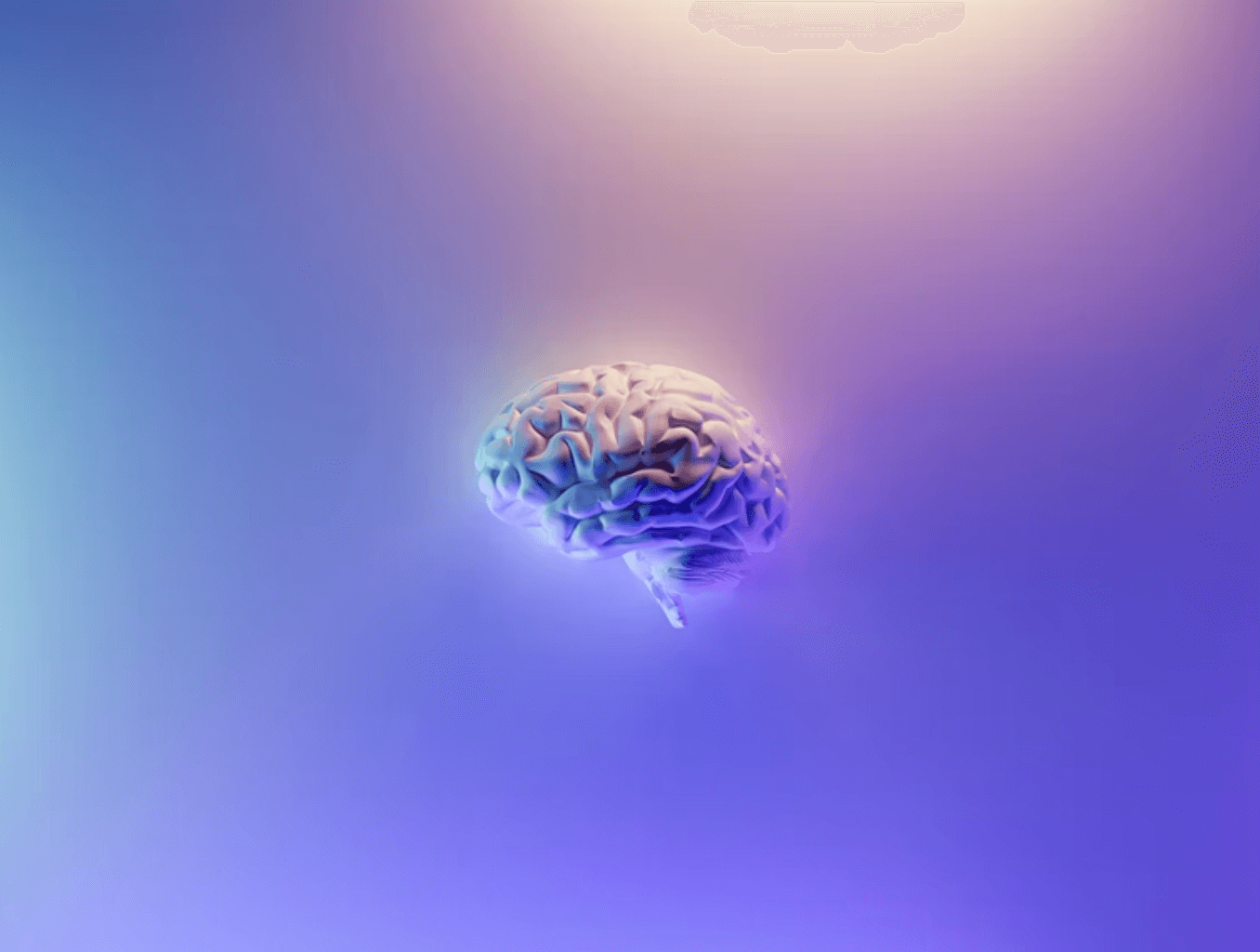foods to boost brain function
