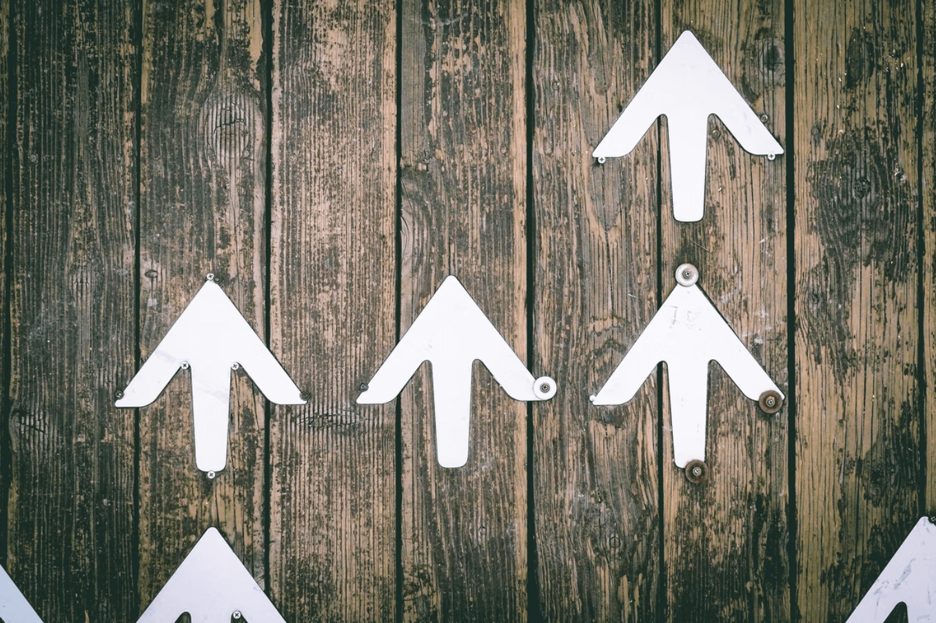 increase nad levels naturally