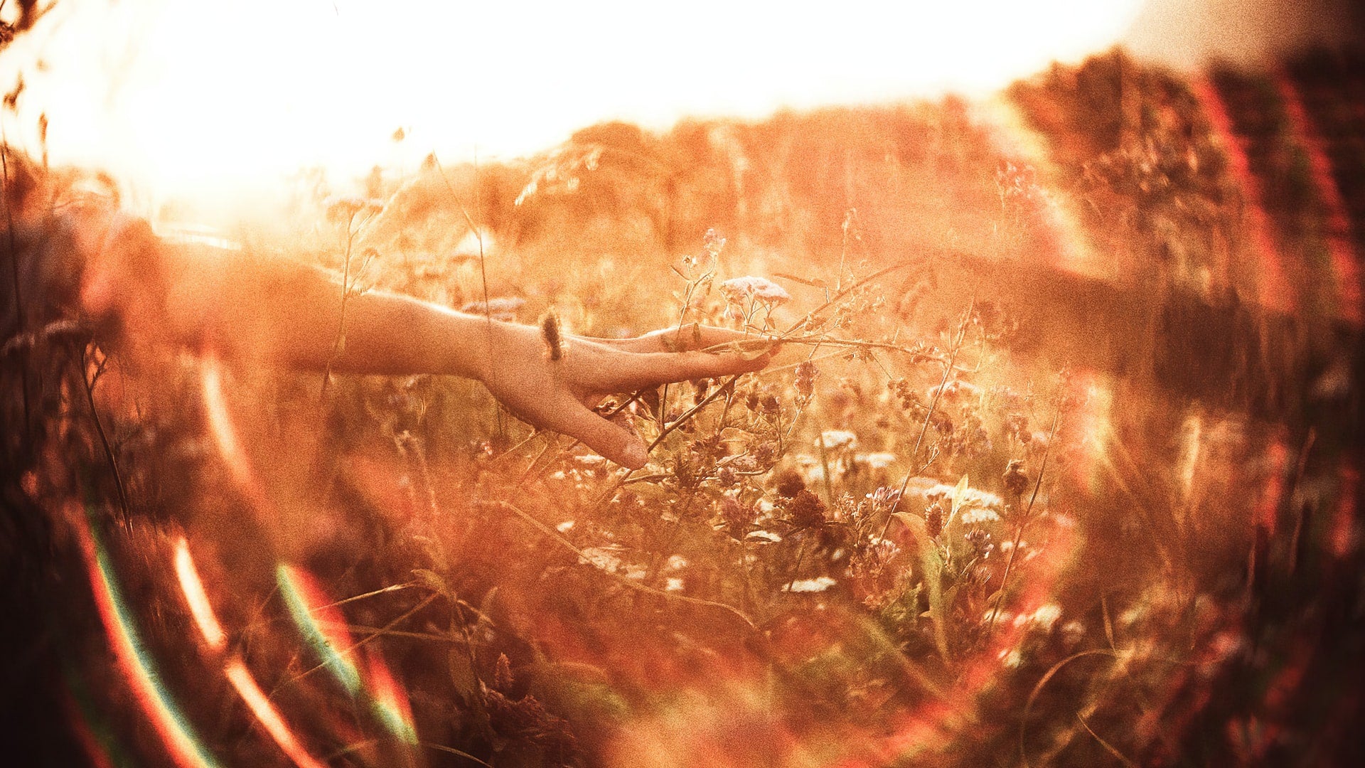 World Health Day: How NAD+ supplements can boost your health and wellbeing