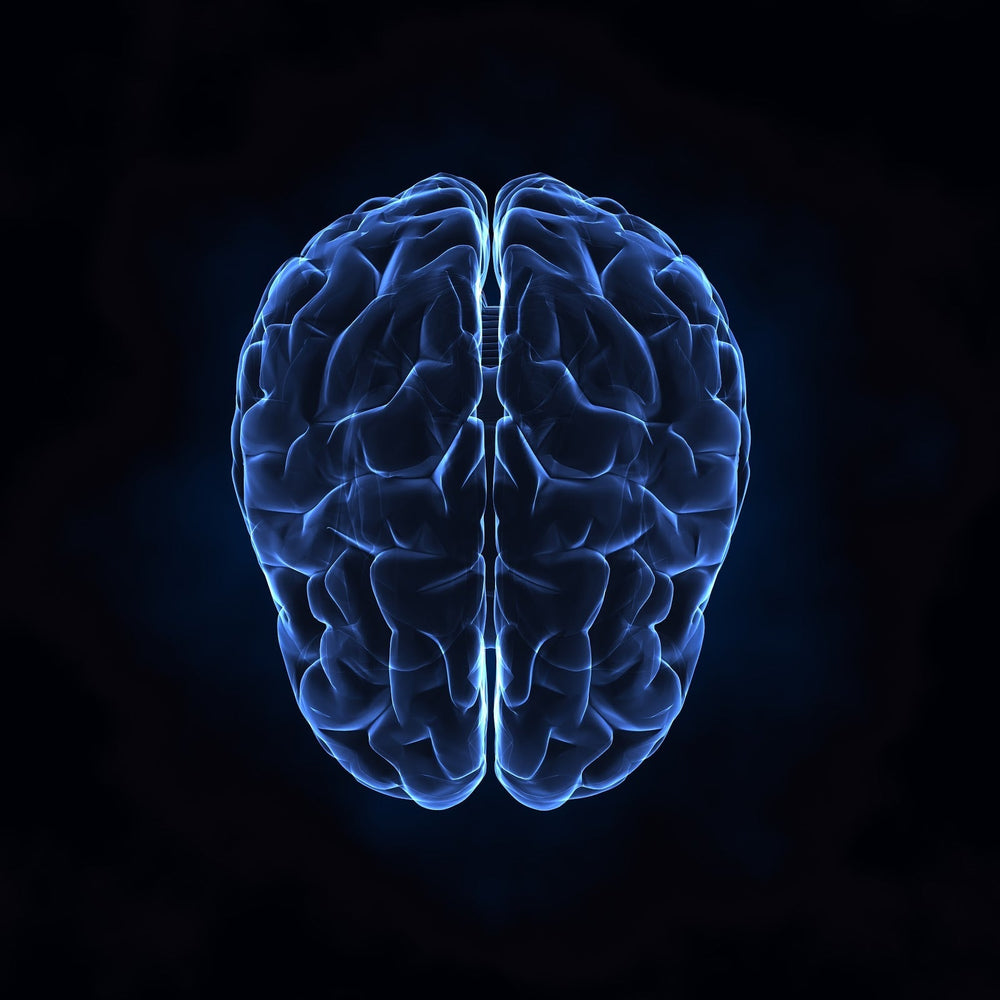 How can I improve my cognitive function?