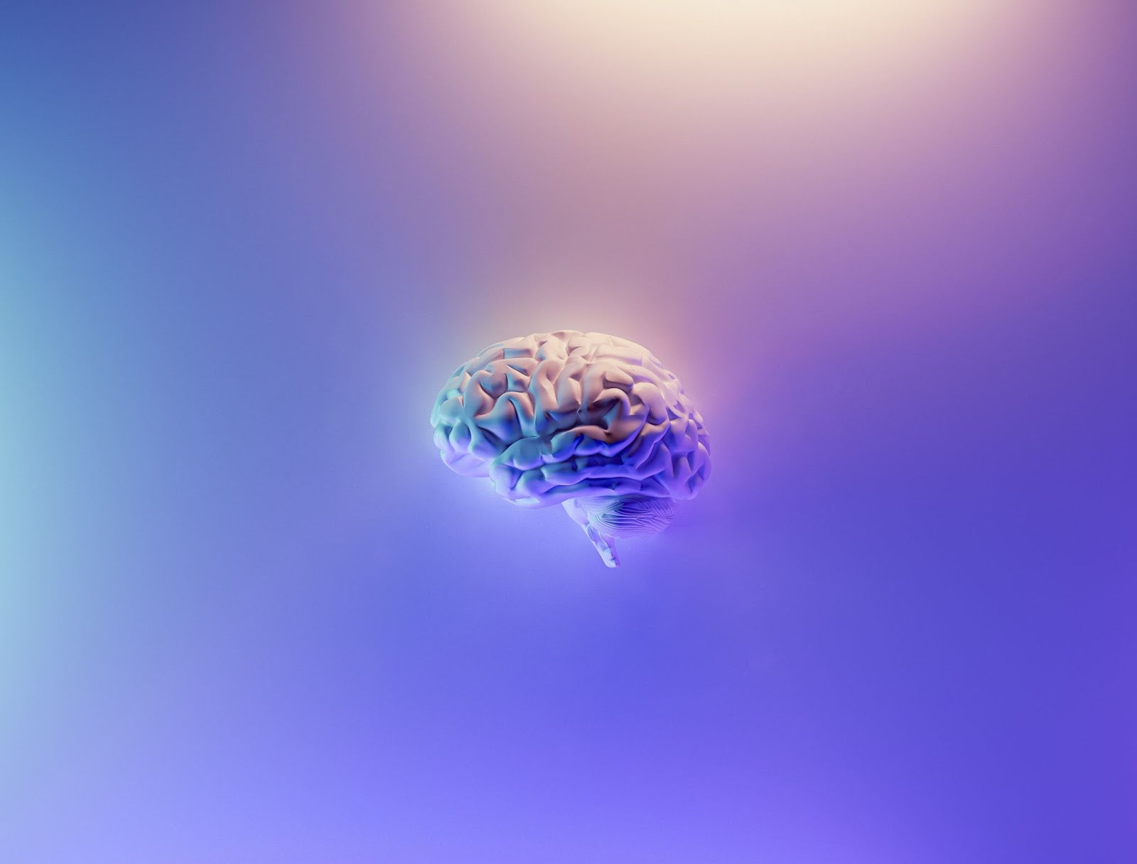 Brain superfoods
