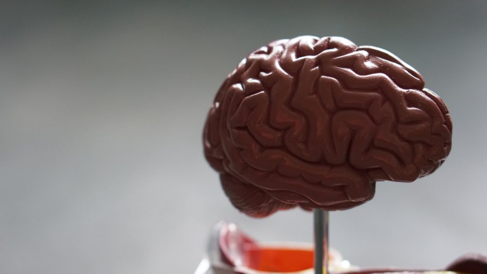 World Alzheimer's Month