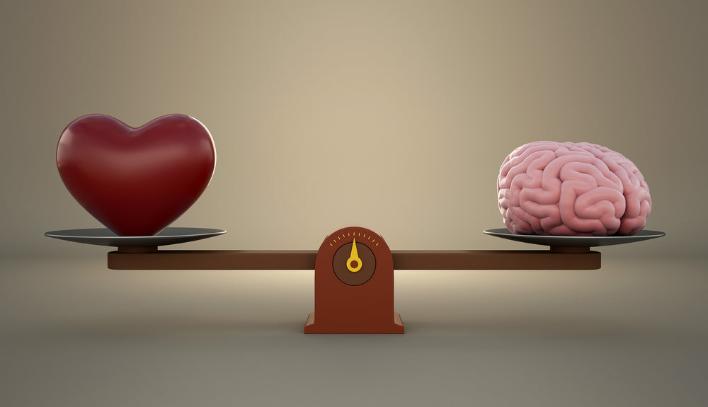 brain and heart health